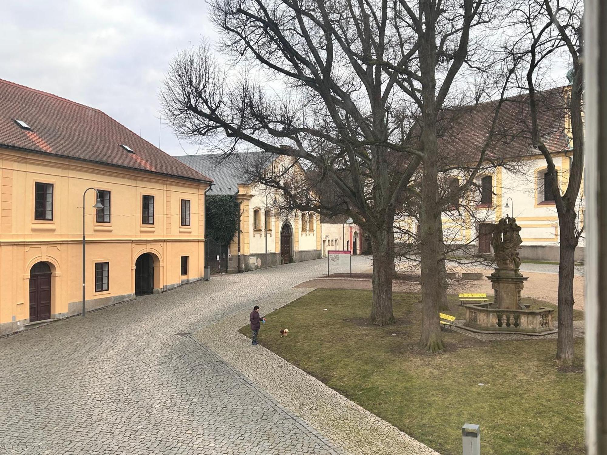 Restaurace A Penzion Podloubi Opocno Екстер'єр фото